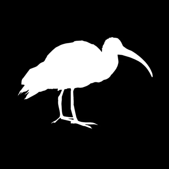 16 سنتيمتر * 10.8 سنتيمتر متعة Ibis الأسهم هيرون البلشون الفينيل سيارة ملصق مائي أسود/فضي الديكور