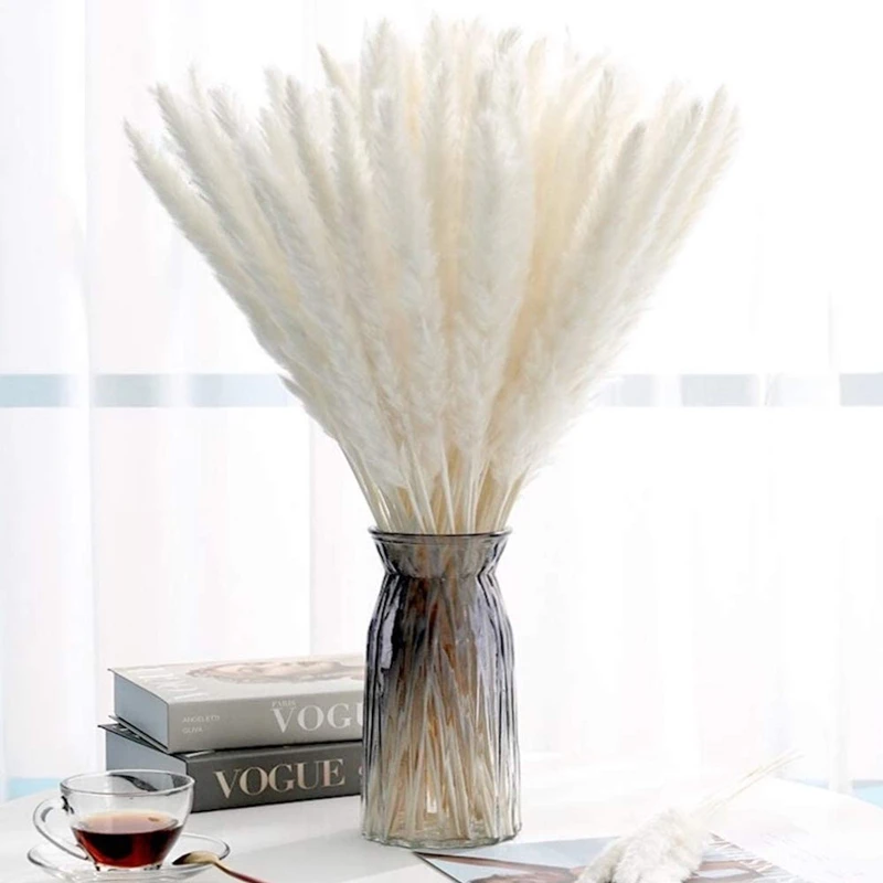 30pcs Sechees Naturelles Dekoration Real Plants Pampas Grass  Reeds Dry Small Bulrush Bouquet Phragmites Flower Home Decor Weddi