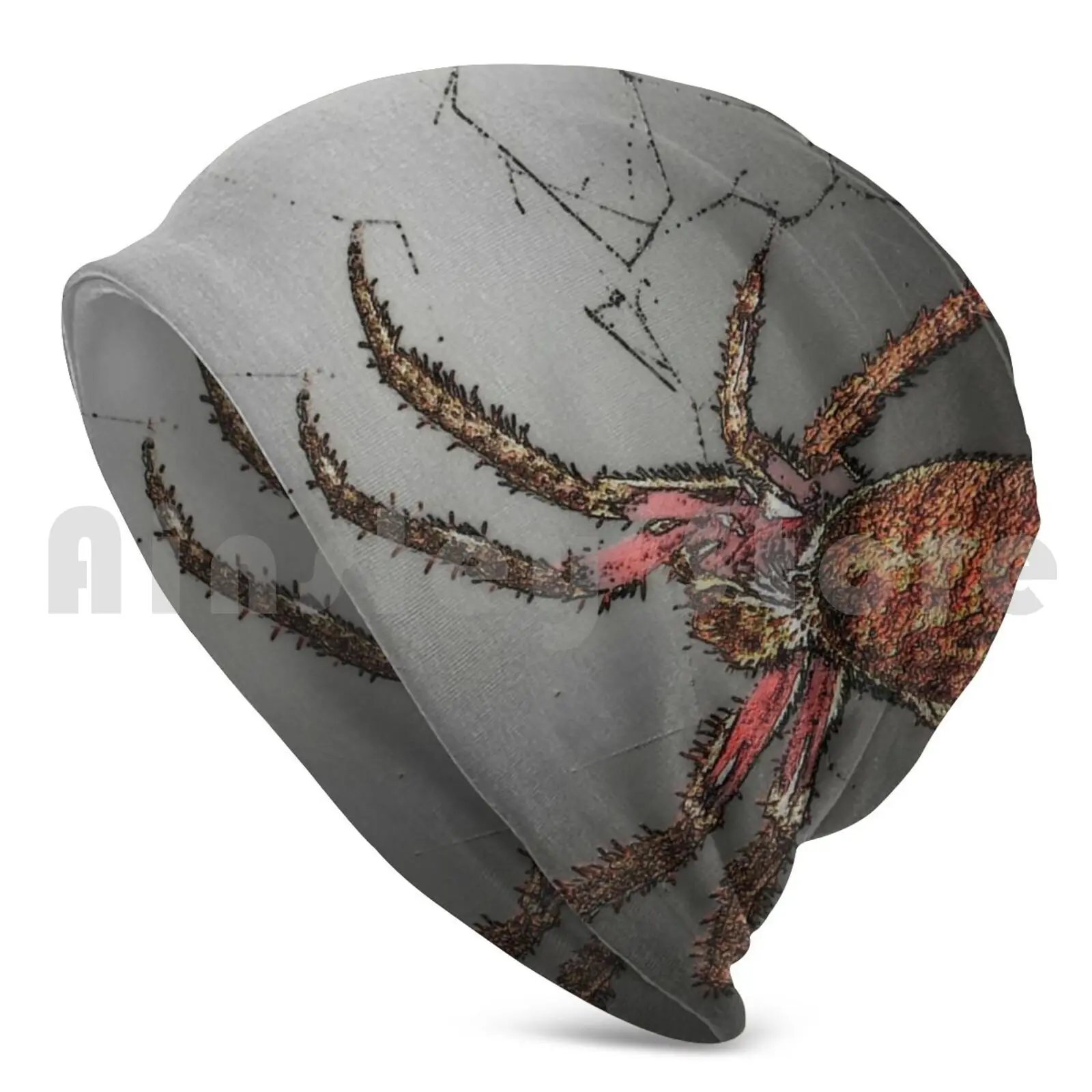 Pet Spider Called Cuddles Beanie Hedging Cap DIY Print Cushion Arachnid Spider Pet Cobweb Web Guard Dog Duncan