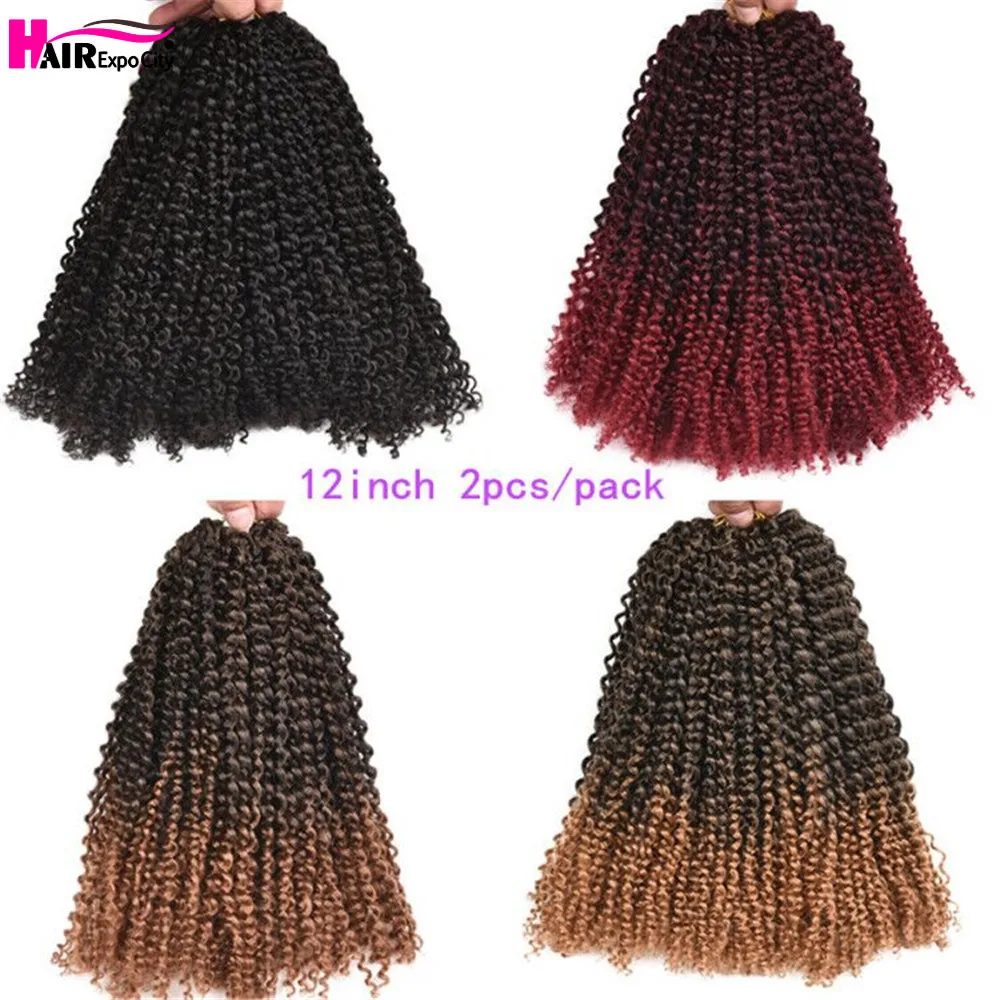 8" 12" Ombre Marley Crochet Hair Afro Kinky Twist Crochet Braids Synthetic Bohemian Curly Braiding Hair Extension Hair Expo City