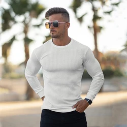 New Autumn Fashion Thin Sweaters Men Casual Long Sleeve Pullovers Man O-Neck Solid Slim Fit Sweaters Knitting Tops pull homme