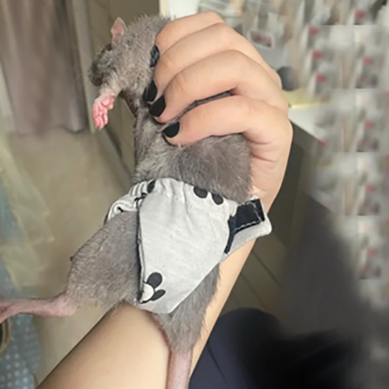 Small Animals Hamster Clothes Pet Diaper-proof Pants Diapers Chipmunks Guinea Pigs Squirrels Chinchillas Chinchillas Supplies