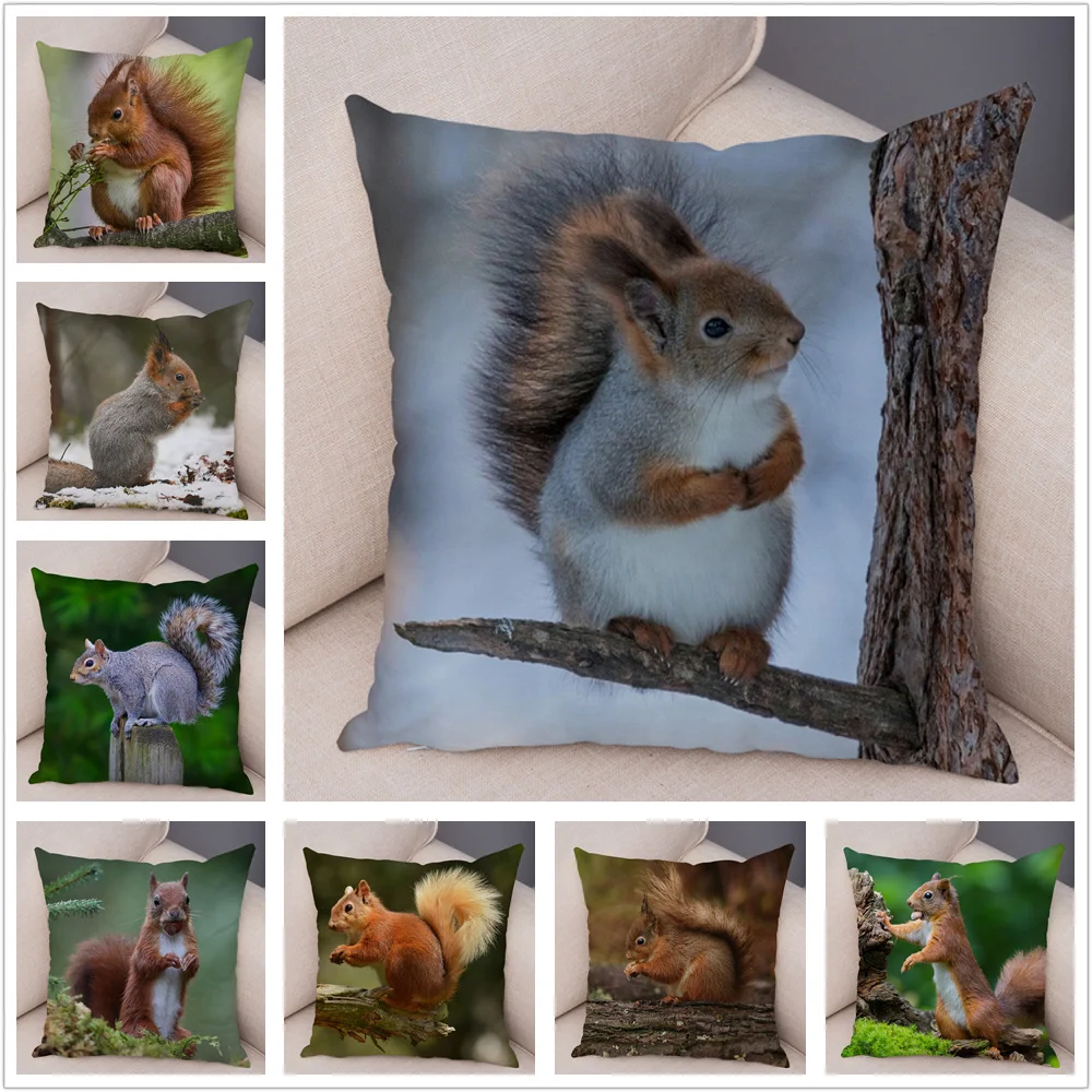 Cute Squirrel Cushion Cover Pillowcase Pillow Covers Home Decor Pet Animal Pillows case Super Soft Short Plush Pillows Covers