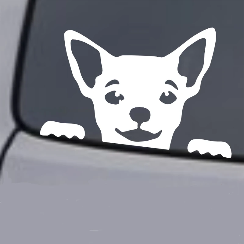 Chihuahua Dog Face winylowa tablica naścienna naklejka samochodowa tylna szyba Laptop naklejka naklejka ścienna różne kolory i rozmiary