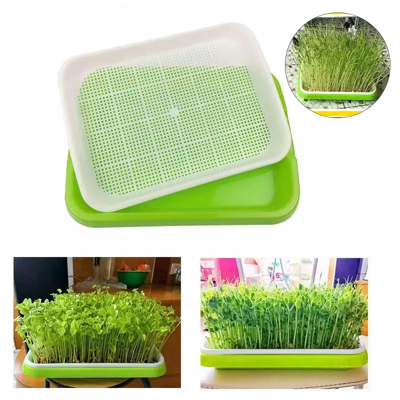 Home Microgreen Soilless Hydroponics Seed Sprouter Grow Tray Home Garden Nursery Pots With Lid