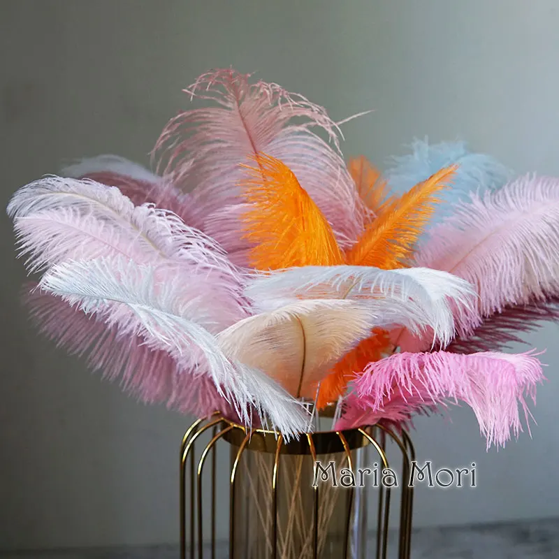 5pcs Ostrich Feather Decor Home Decor Office Decor Artificial Iron Wire Flower Stem Natural Plumes Colored Feathers Colorful