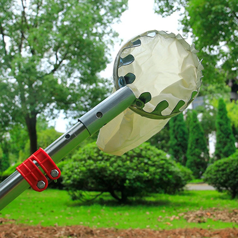 PICECE-mir à Tête pour Fruits de Jardin, Outils de Cueillette, Attrape-Fruits pour la Récolte, Cuecroisement de Citroëme, Outil de user inage