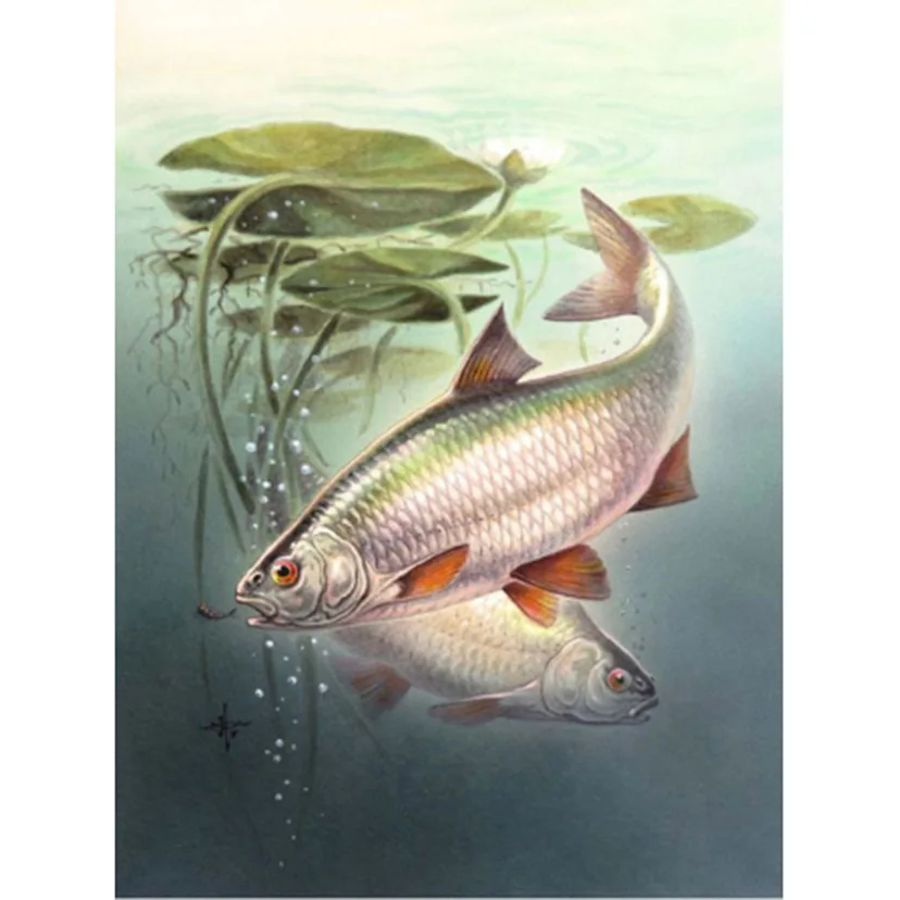 5D Diy Diamond painting cross stitch kit carp rhinestone mosaic painting pattern full square Diamond embroidery animals picture