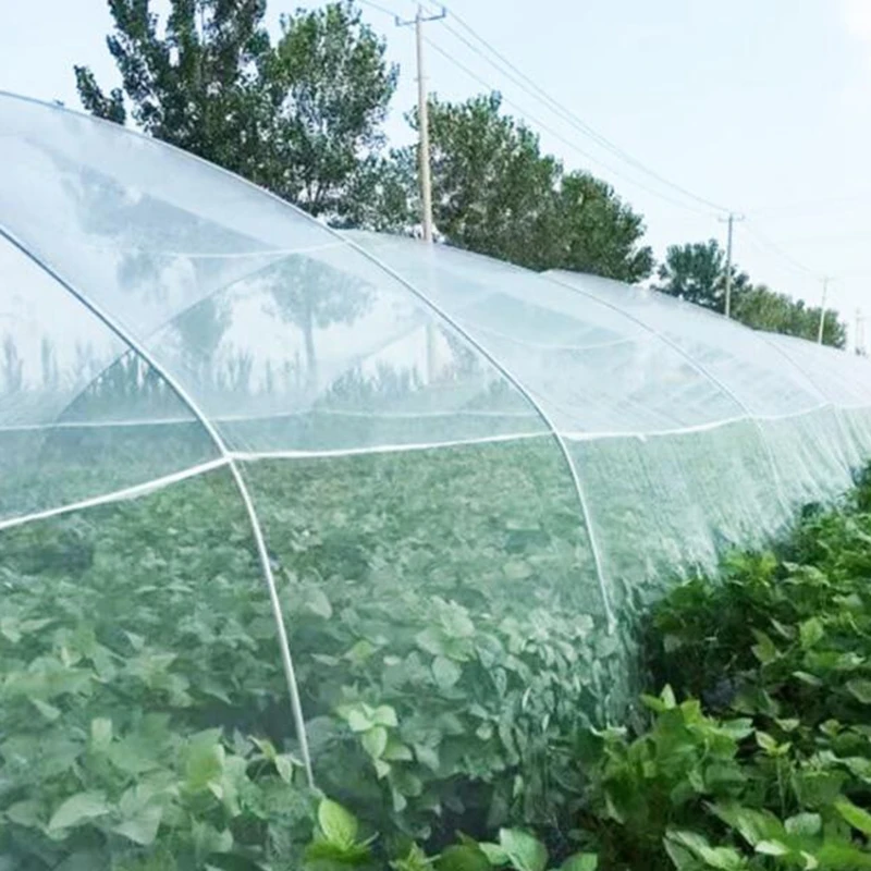 20 Mesh Breedte 1 m 2 m 3 meter Tuin Ongediertebestrijding Netting Planten Groente Fruit Bescherming Cover Anti-vogel Insect PE Nylon Net