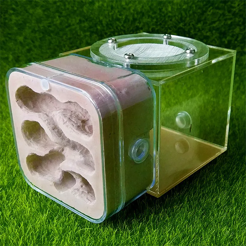 Mini Plaster Ant Nest Acrylic Ants Farm Kids DIY Educational Toys Pet Ants Insect Cages Children Birthday Gifts Anthill House