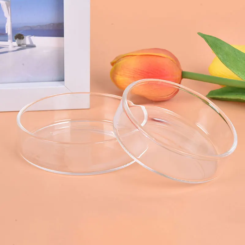 1PC Clear Glass Shrimp Feeding Food Dish Feeder Tray Round Aquarium Feeding Bowls Cheap Wholesale Dropshipping