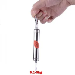 Silver Measuring Tool Mechanical Spring Balance 5kg Dynamometer Hanging Scale Tools