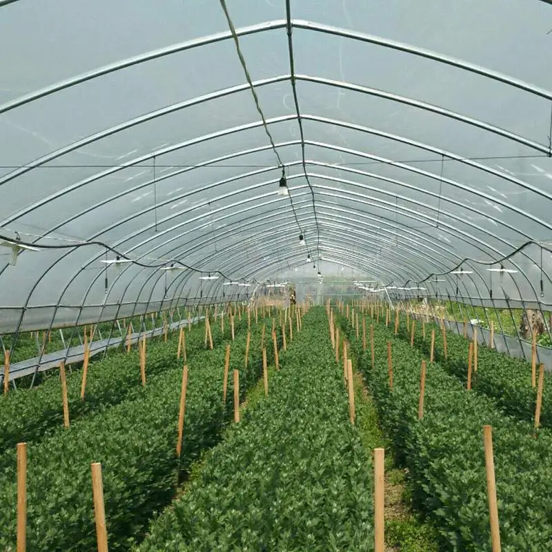 8M*30M-Green House Plastic Tube Steel Frame Greenhouse Structure