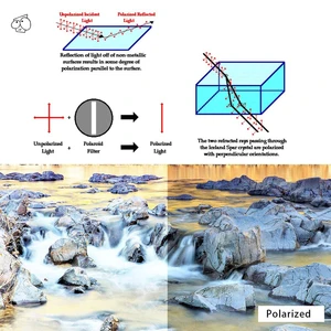 8ベストセールスオークリーレース-1