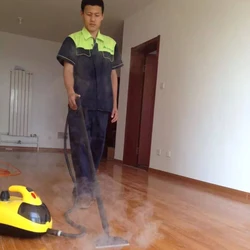 Multifunctional Steam Cleaner 1500W Mobile Cleaning Machine With 900ml Water Tank For Home Kitchen Car Glass 220V