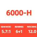 6000-H