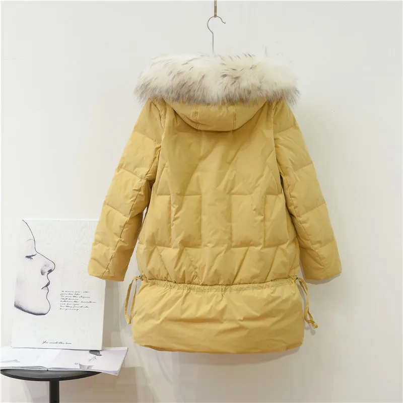 Abrigo de plumón para mujer, chaqueta con capucha de piel de mapache Real, chaqueta de plumón de pato coreana 2019, abrigo largo y cálido, invierno, W1628, 90%