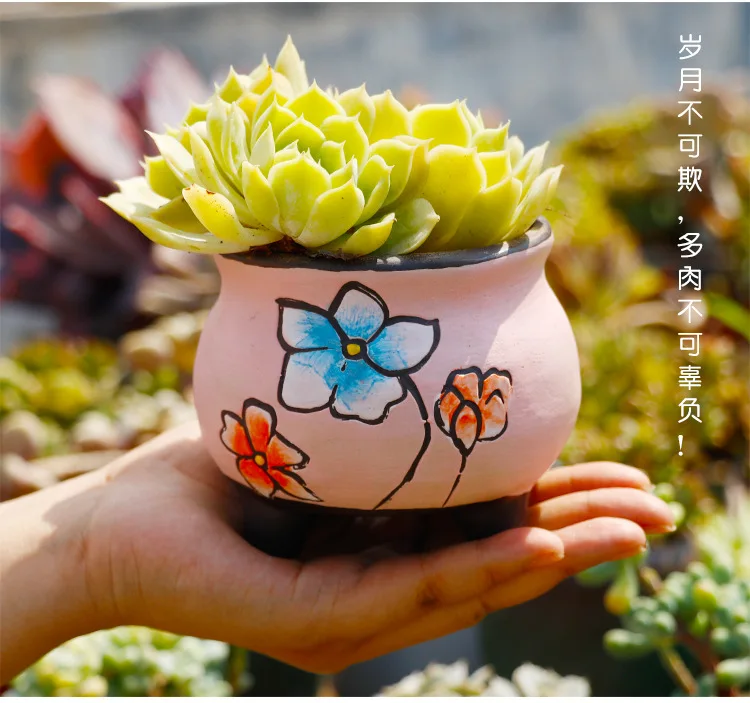 Ceramic meaty plant flower pot Pure hand-painted multi-meat flower pot Pot Ceramic Yan jubilee pot size caliber flower pot