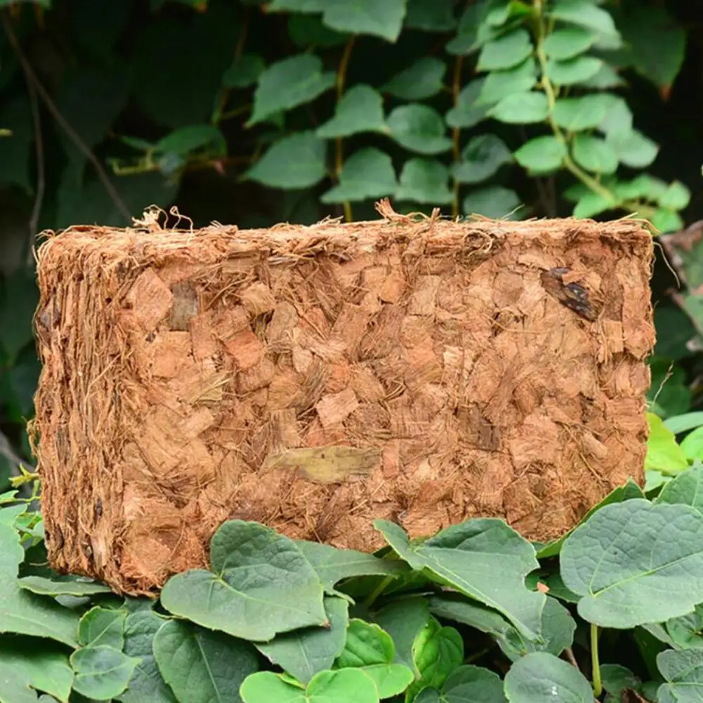 Coconut Fiber Brick Good Water Absorption Root Protective Coconut Fiber Brick For Flower Plants Growing