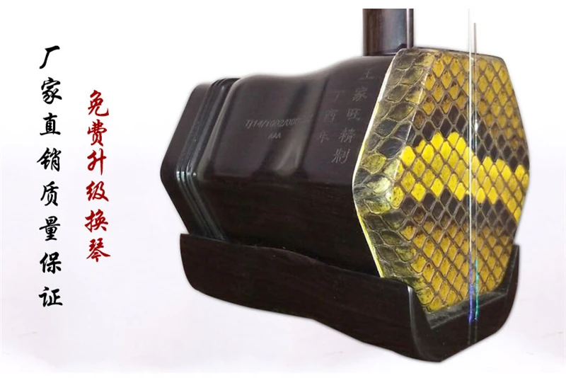 Ebony Upscale Musical Instrument by Wang Jiawang, 100% Ture Python Skin, Full Erhu Accessories, Chinese Instrument