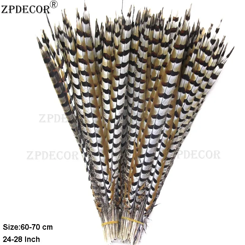 ZPDECOR-Natural Reeves Pheasant Feathers, 65-70cm, 26-28 in