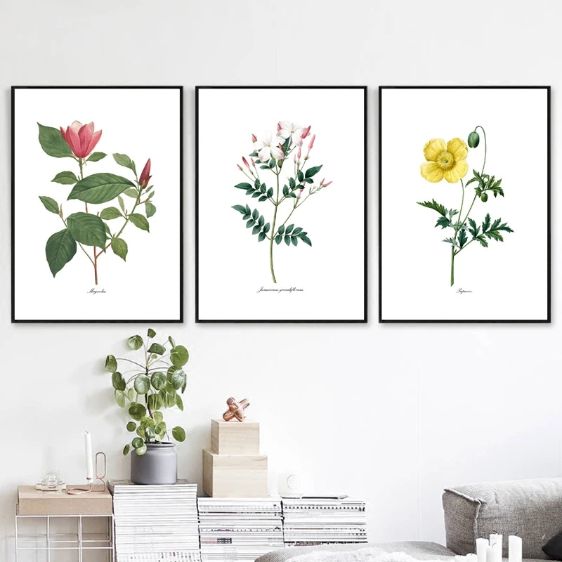بي جي. ريدوت الزهور خمر الملصقات والمطبوعات العتيقة زهرة النباتية الفن حائط لوح رسم صور لغرفة المعيشة ديكور #2