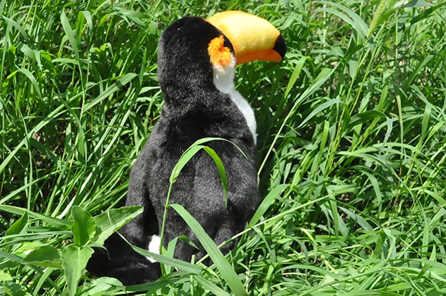 Niedlicher Tukan-Vogel-Plüschtier, ca. 26 cm, Simulation, Tukan, weiche Puppe, Kinderspielzeugauto, Dekoration, Geburtstagsgeschenk, H0695