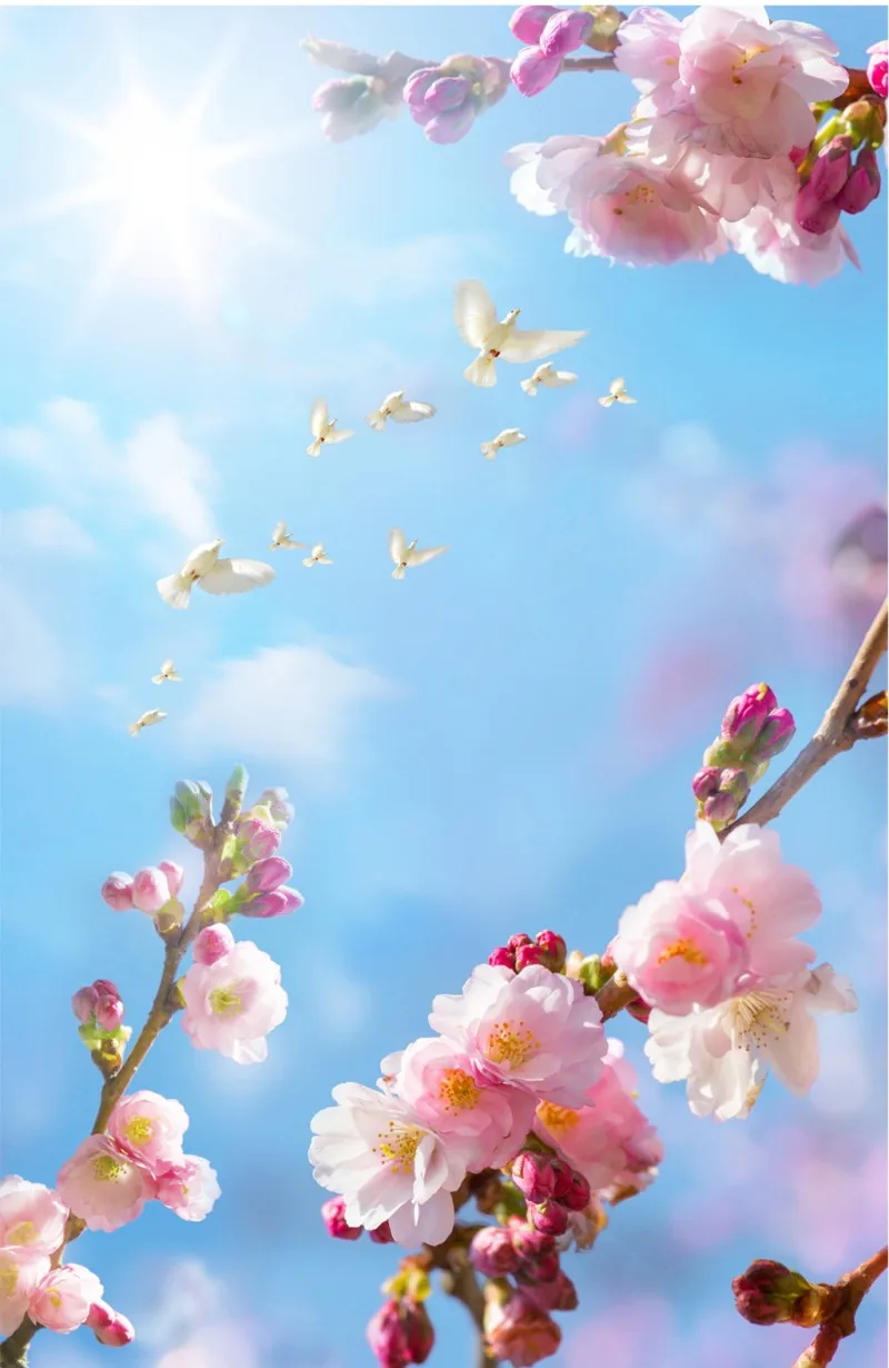 Beautiful peach blossom blue sky mural ceiling Custom 3D Photo Wallpaper ceilings