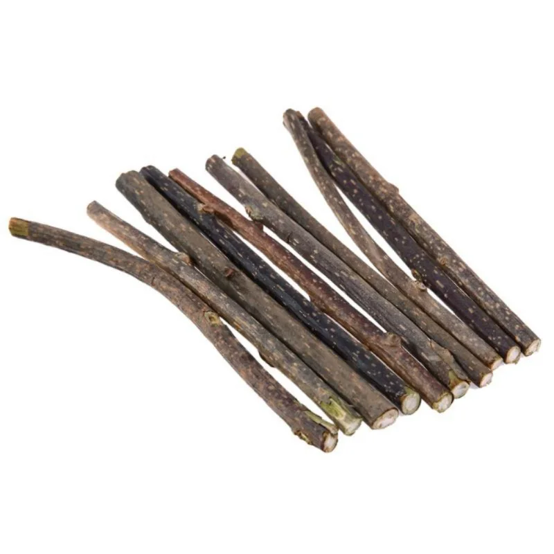 10pcs Natural Catnip Pet Cat Molar Toothpaste Stick Silvervine Cat Snacks Sticks Wood Polygonum Sticks Cat Cleaning Teeth Toys