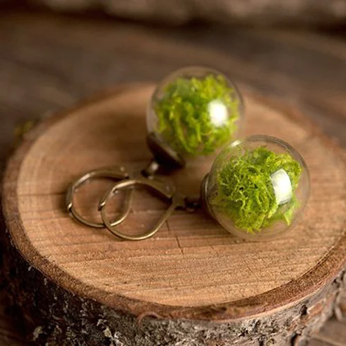 2Pairs 16MM Glass Ball Real Moss Earring Green Jewelry Natural Moss Dangle Earrings For Women