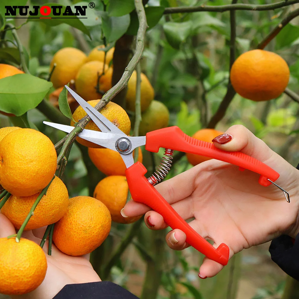 Pliers for Plants Tool Box Powerful Garden Pruners Bonsai Tools Profesional Pruning Shears Fruit Picker Parts and Accessories