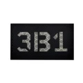 3B1