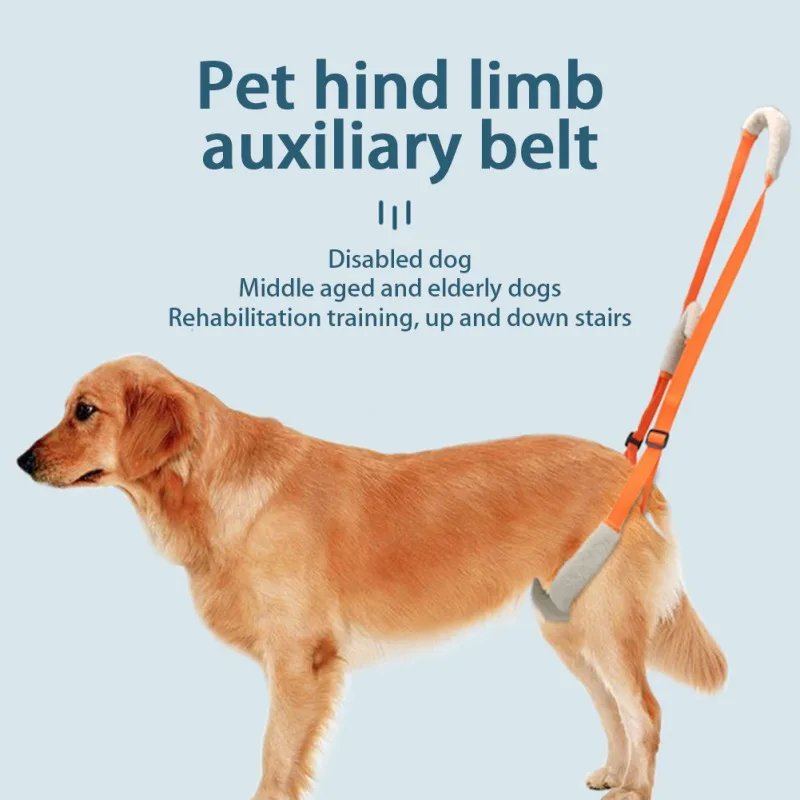 Pet Dog Lift Harness Pet Rear Legs Support Aid Sling For Elderly Dog With Poor Stability, Back Leg Hip Disabled Joint Injury