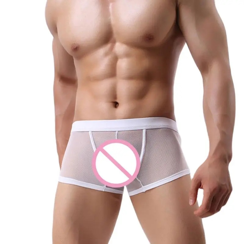 Bóxer de malla de encaje transparente para hombre, ropa interior Sexy, calzoncillos transpirables, cómodos, bragas Cueca