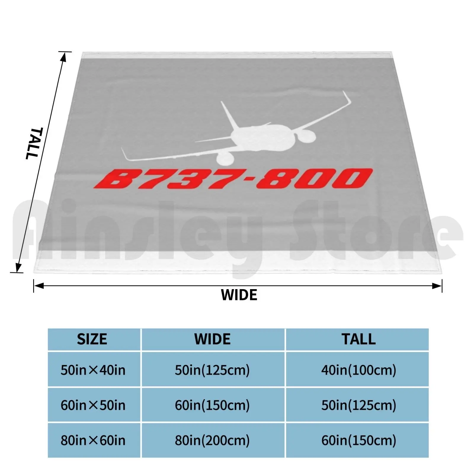بوينغ 737-800 بطانية فضية موضة مخصصة 3116 خطر مصمم بطانية الصحة بوينغ 737 #2