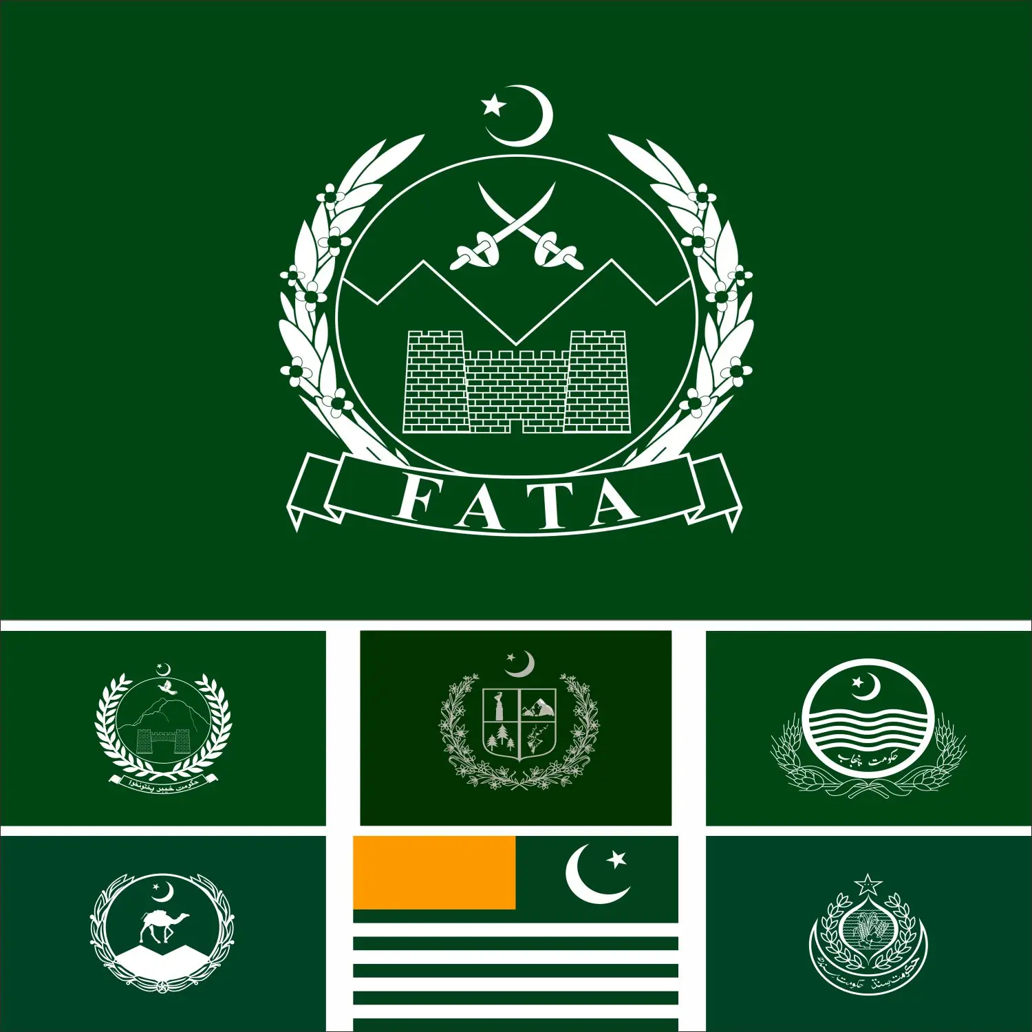 Pakistan Azad Kashmir Flag 3X5ft 90X150cm Gilgit-Baltistan Provincial And Territorial 60x90cm 21x14cm Punjab Banner