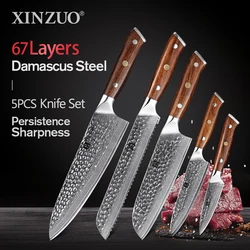 XINZUO 5 PCS Knife Set Damascus Steel Bread Utility Santoku Paring Chef Kitchen Knives with North America Desert Ironwood Handle