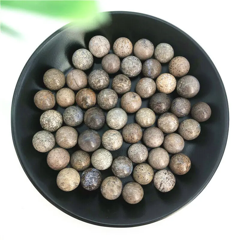 Dinosaur Bone  Ball Natural  Stone Sphere Smooth Polished Healing Natural Stones and Minerals