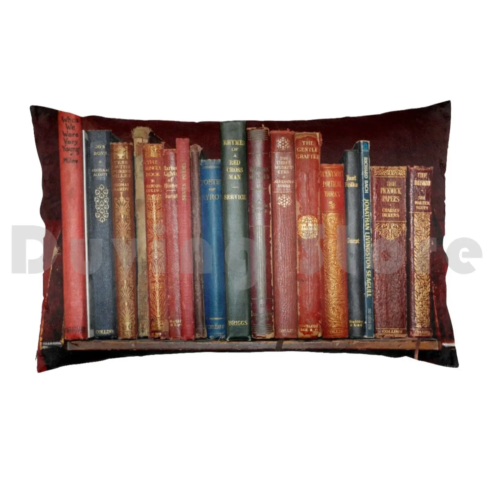 Mini Library ~ Of Classic Books Pillow Case Printed 35x50 Books Tote Library Books Librarian Gift Vintage