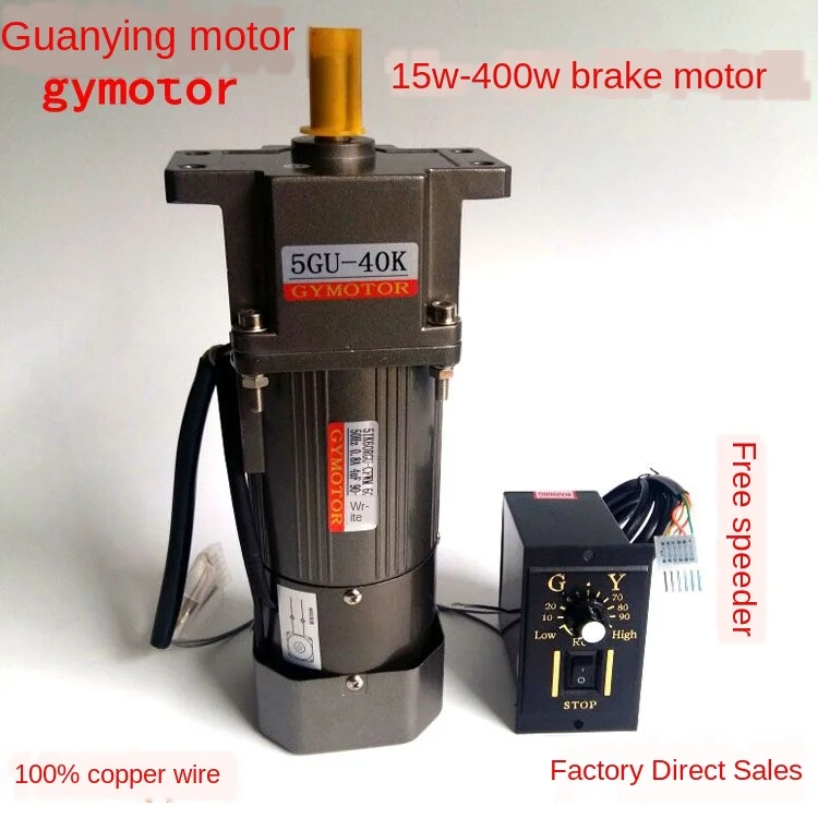 Micro-Ac Gear Reducer with Brake Motor, Single Phase 220v Three-Phase 380v 300W Speed Regulating Motor Brake with Brake Motor