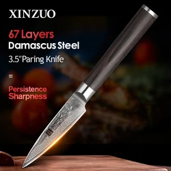 XINZUO 3.5 Inches Fruit Knife 67 Layers Japan Damascus Stainless Steel Kitchen Knives High Quality Paring Knife Ergonomic Handle