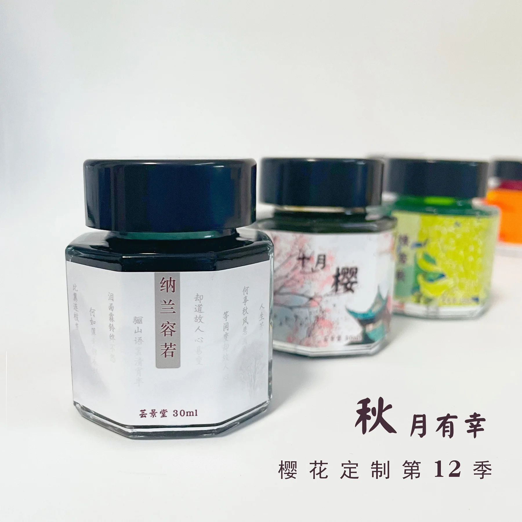 30ml Yunjintang 12 Season Fountain Dip Pen Ink ,Sheen Chromatography Color Ink Painting Watercolor  Drawing Ink