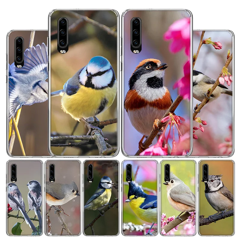 Magpie bird Cover Phone Case For Huawei P30 P20 P10 P40 P50 Pro Mate 20 40 30 10 Lite Popular Fundas Art Gift Coque Shell