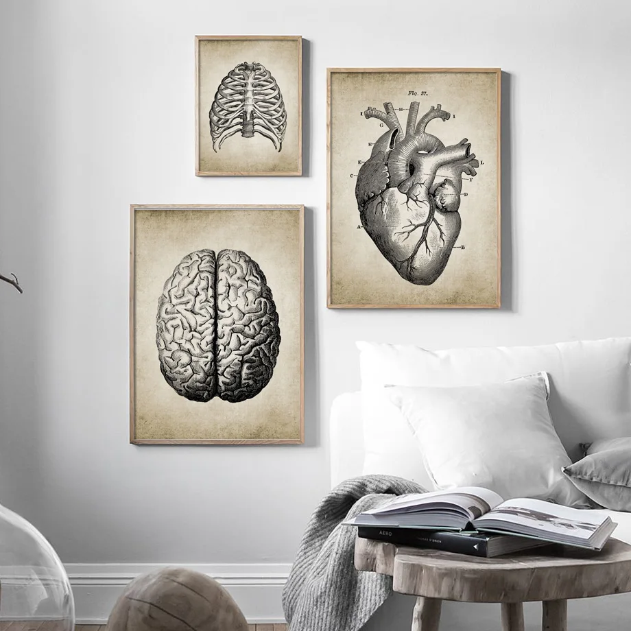 Vintage brain fingers skull anatomy art canvas painting Nordic poster and print living room wall painting