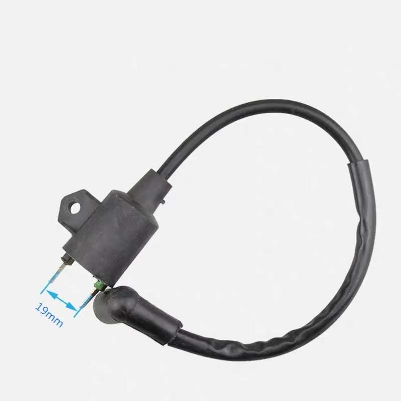 Imagem -05 - Conjunto de Alta Tensão Bobina de Ignição Ignitor para Ryf-950-r Ryf950r 3kw Motor a Gasolina