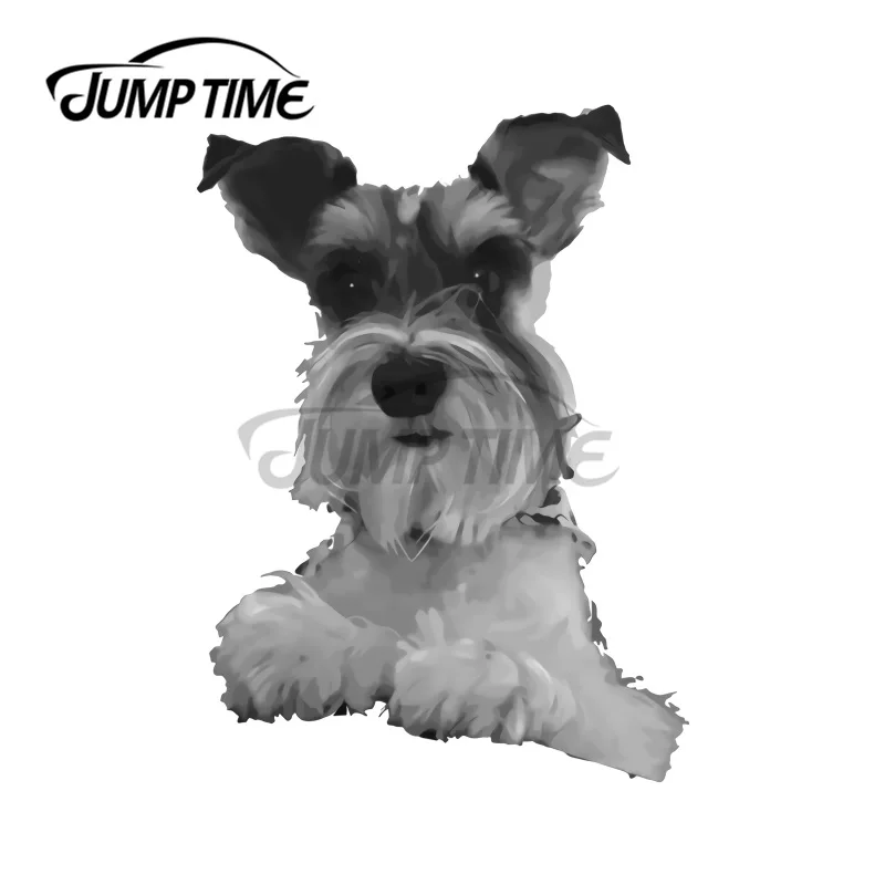 JumpTime 13 x 5.5cm For Schnauzer Portrait Funny Car Stickers Car Assessoires Waterproof Motorcycle Laptop Windows Decals