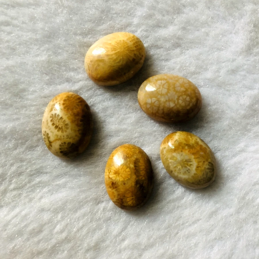 Wholesale 2pcs/lot Coral Fossils Jasper Bead cabochon,12x16mm 15x20mm Oval Gem stone Bead Cabochon Ring Face