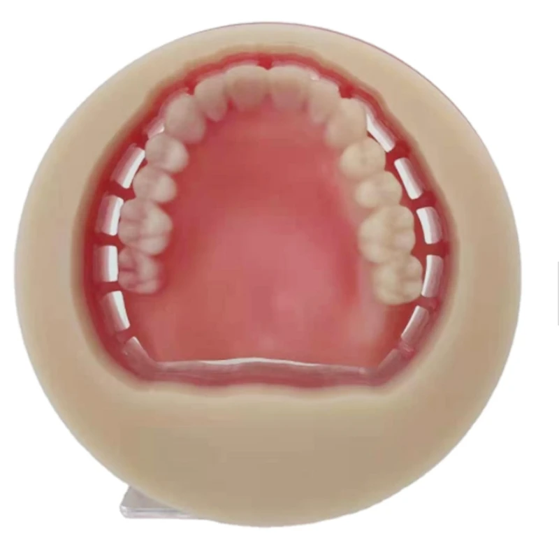 PInk A2 A3 Color 98X25mm Dental Lab Material Full Denture CADCAM Milling Block Full Crown PMMA Disc