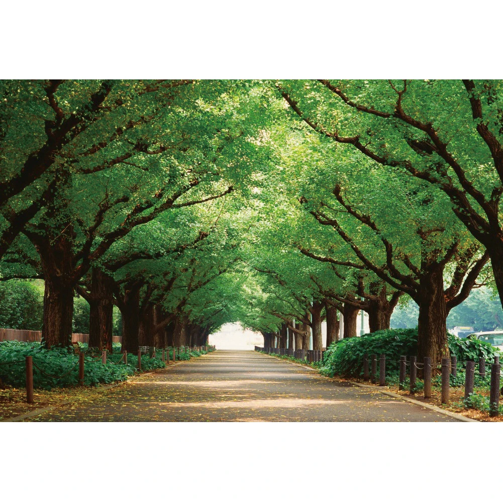 Yeele الربيع شجرة الأخضر يترك التصوير الفوتوغرافي المناظر الطبيعية خلفيات للتصوير الفوتوغرافي التصوير الخلفيات للصور استوديو الدعائم