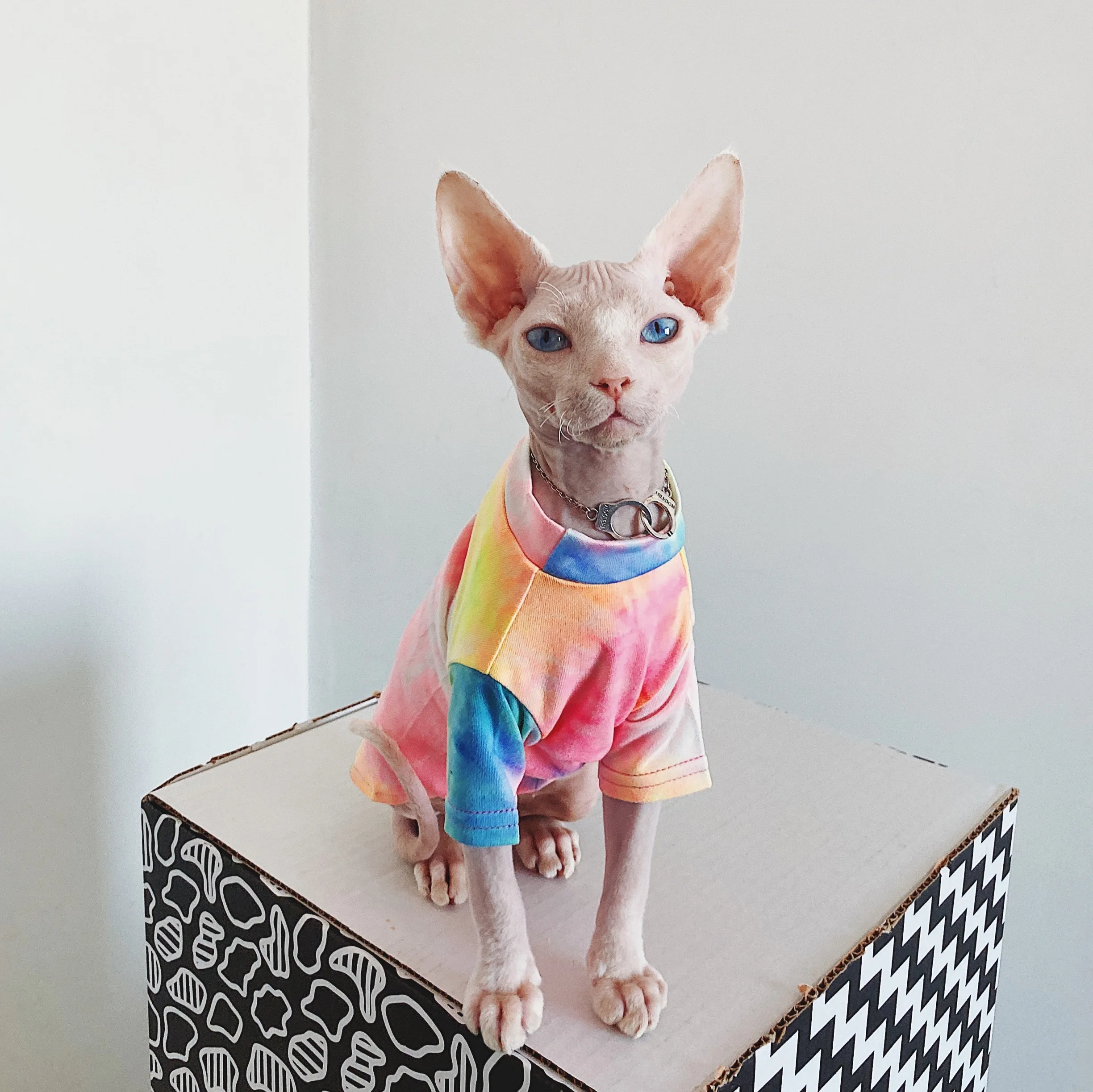 Hairless Cat Clothes Sphinx Deven Rainbow Breathable T-shirt Pet Clothes For Small Dogs Shirt Clothing for Cats